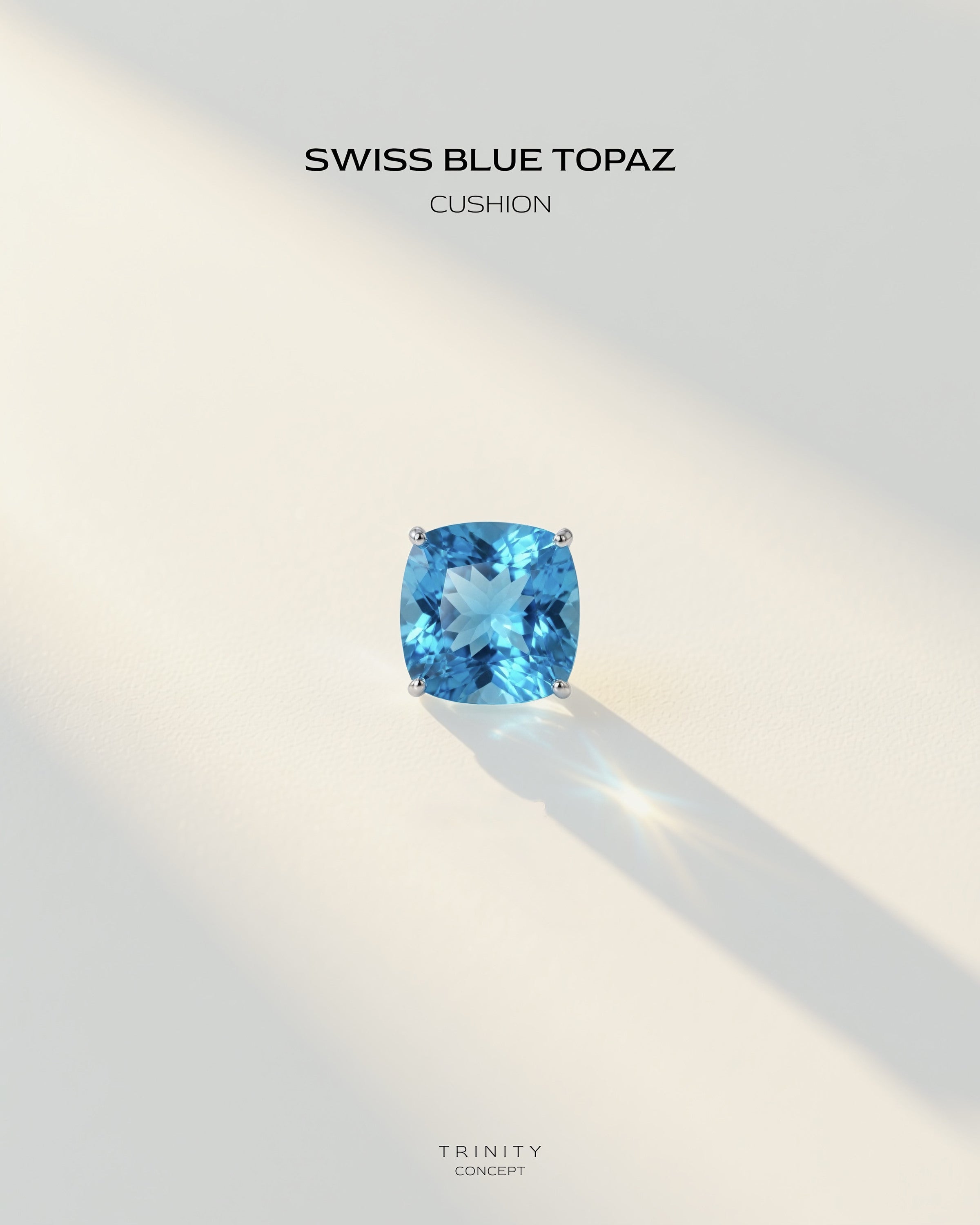 Swiss Blue · Cushion